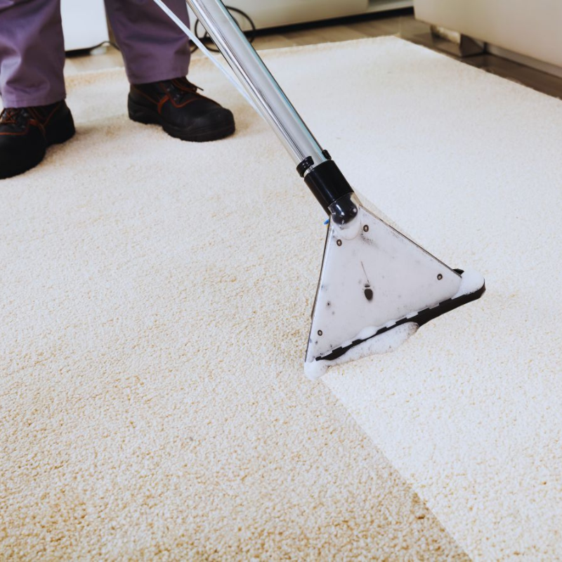 Office Carpet Cleaning