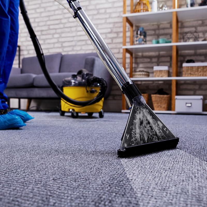 Customized Carpet Cleaning