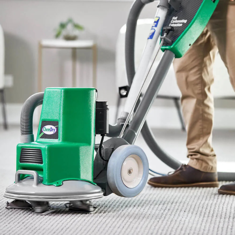 Regular Carpet Cleaning