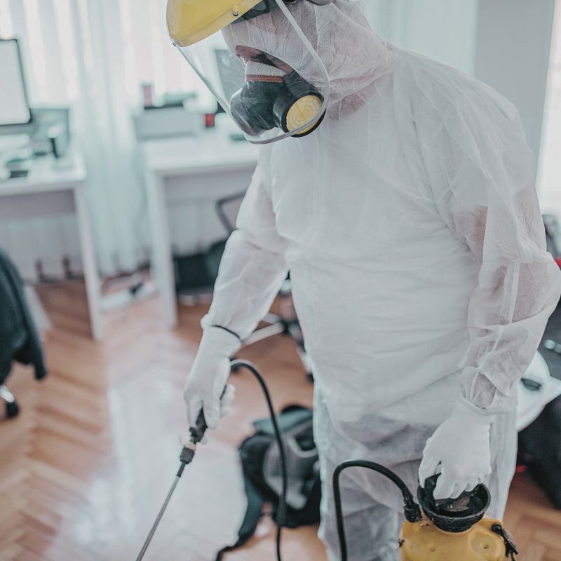 Comprehensive Disinfection Services